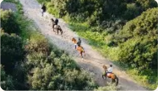 الأنشطة السياحية